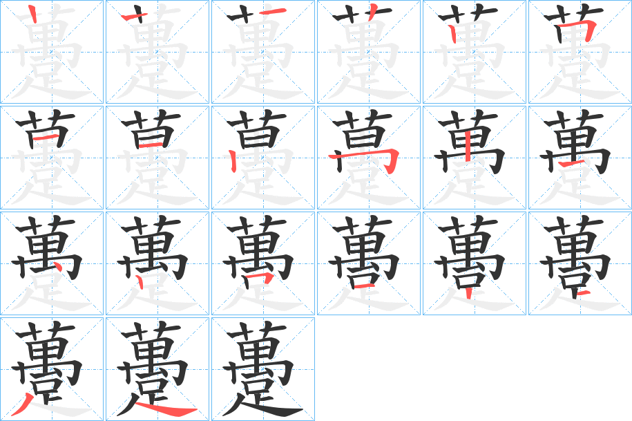 躉的笔顺写法