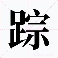 踪