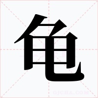龟