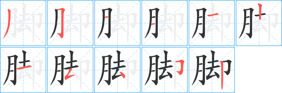 脚的笔顺写法