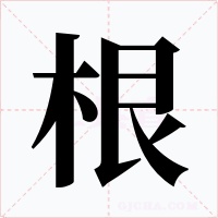 根