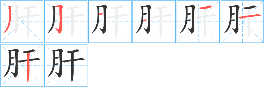 肝的笔顺写法