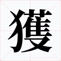 獲