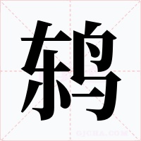鸫