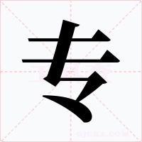 专