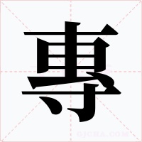 專