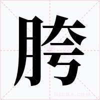 胯