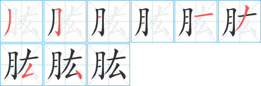 肱的笔顺写法