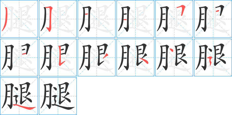 腿的笔顺写法
