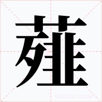 薤