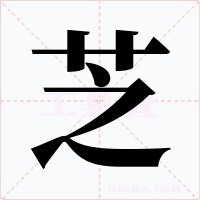 芝