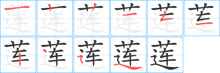 莲的笔顺写法