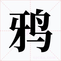 鸦