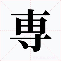 専