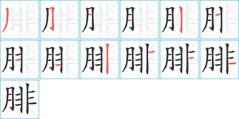 腓的笔顺写法
