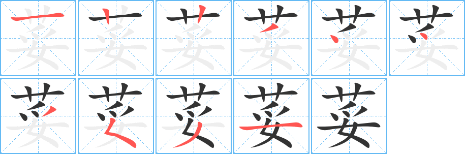 荽的笔顺写法