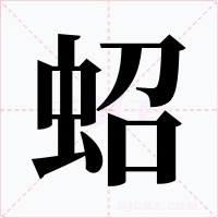 蛁