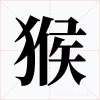 猴