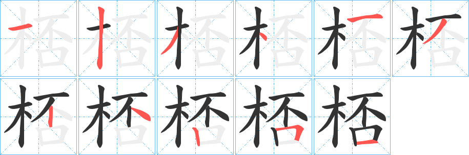 桮的笔顺写法