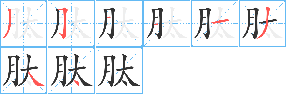 肽的笔顺写法