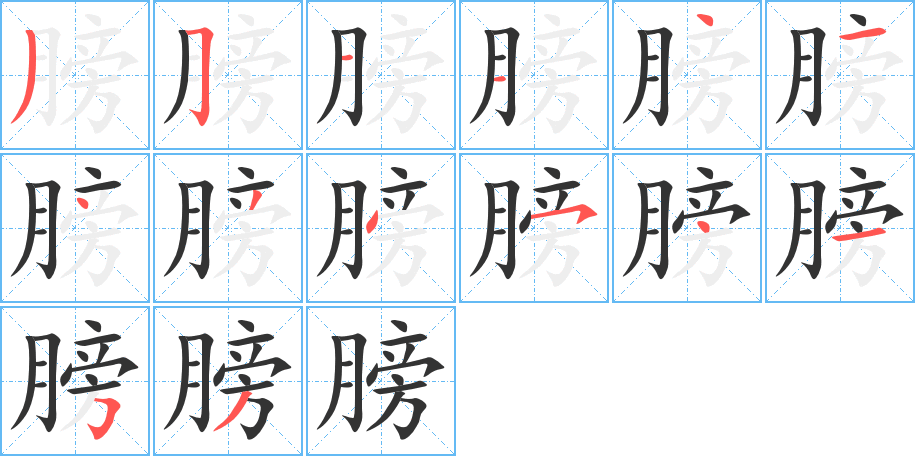 膀的笔顺写法