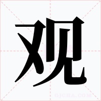 观