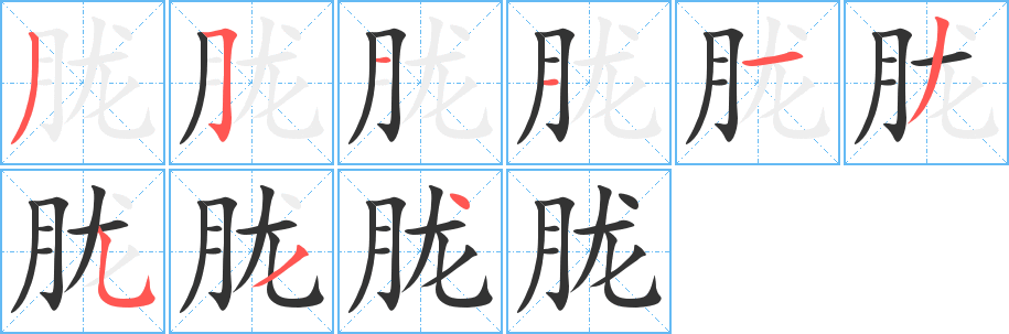 胧的笔顺写法