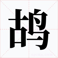 鸪