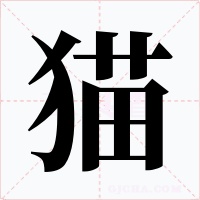 猫