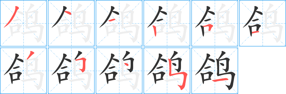 鸽的笔顺写法