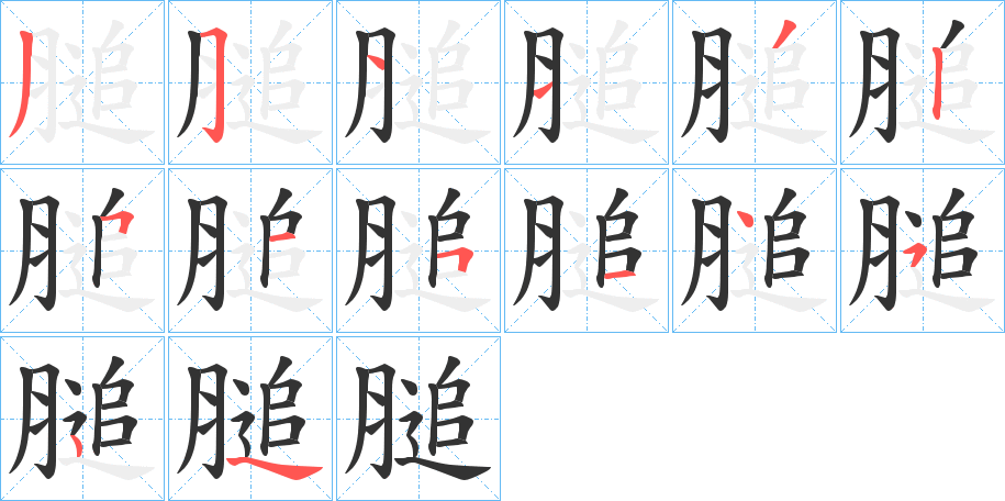 膇的笔顺写法