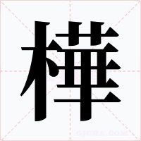 樺