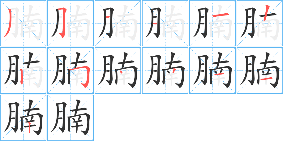 腩的笔顺写法