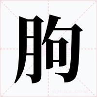 朐