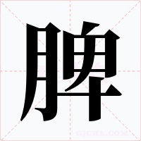 脾