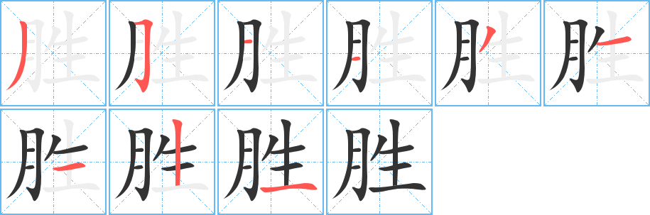 胜的笔顺写法