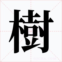 樹
