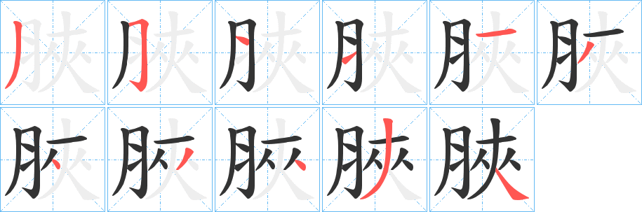 脥的笔顺写法