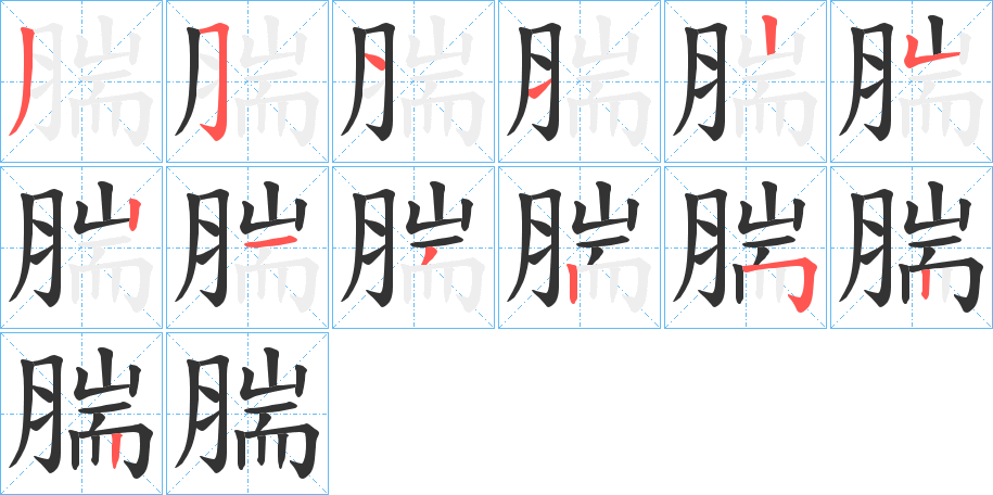 腨的笔顺写法