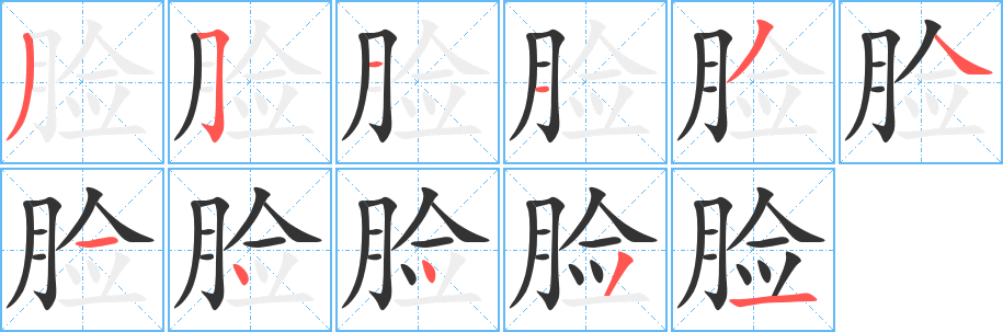 脸的笔顺写法