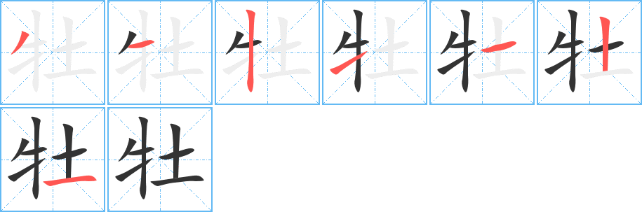 牡的笔顺写法