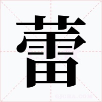 蕾