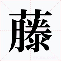 藤