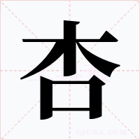 杏