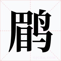 鹛