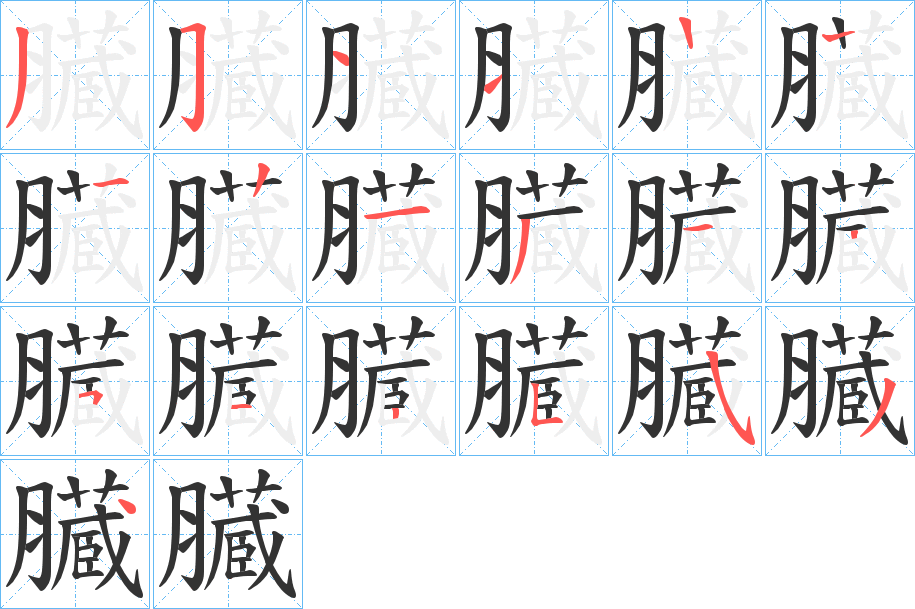 臓的笔顺写法