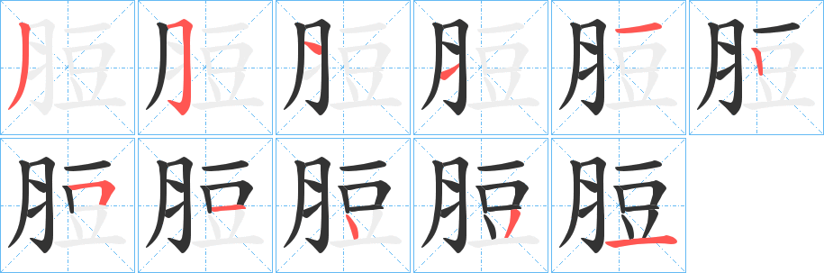 脰的笔顺写法
