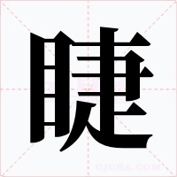 睫