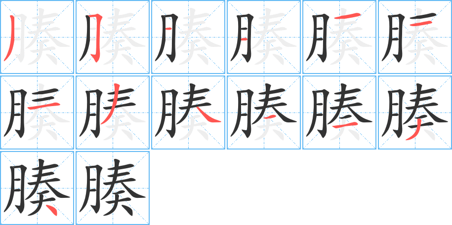 腠的笔顺写法