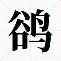 鹆